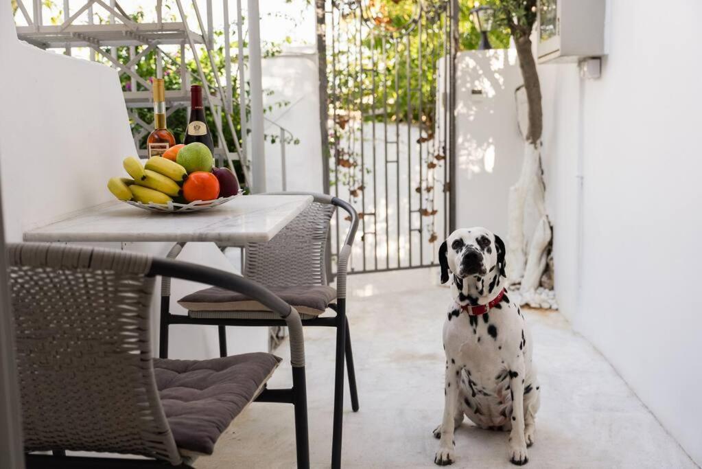 Villa Artemis Cycladic Charmed ! Athens Exterior photo